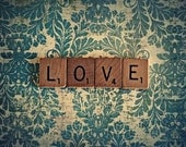 It's Spelled Love 4x6  Original  Fine Art Photography Print