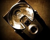 Click - 5x5 square fine art photograph print
