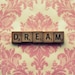 Photography Print - Little Pink Dream Shabby Chic. Dress Up Your House.