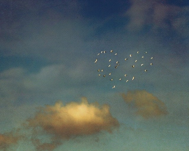 Fine Art Photography Print - Love In The Air