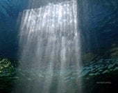 Water and Sunlight 8x10 Fine Art Print