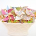Hippity Hoppity - Set of 12 Mini Pinwheels