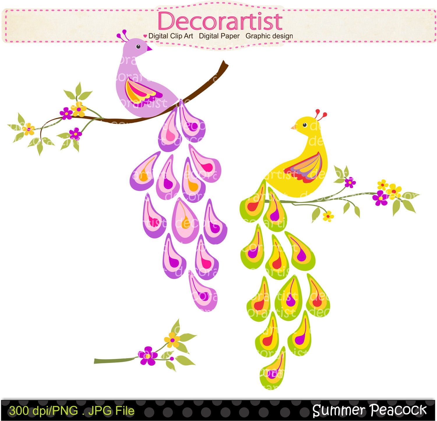 Vintage Peacock Clipart