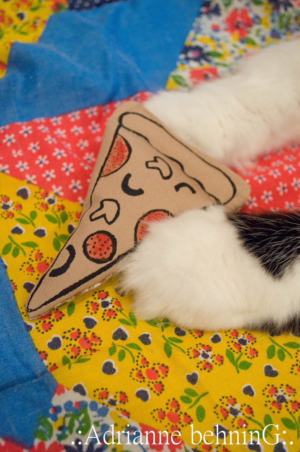Catnip Pizza Slice