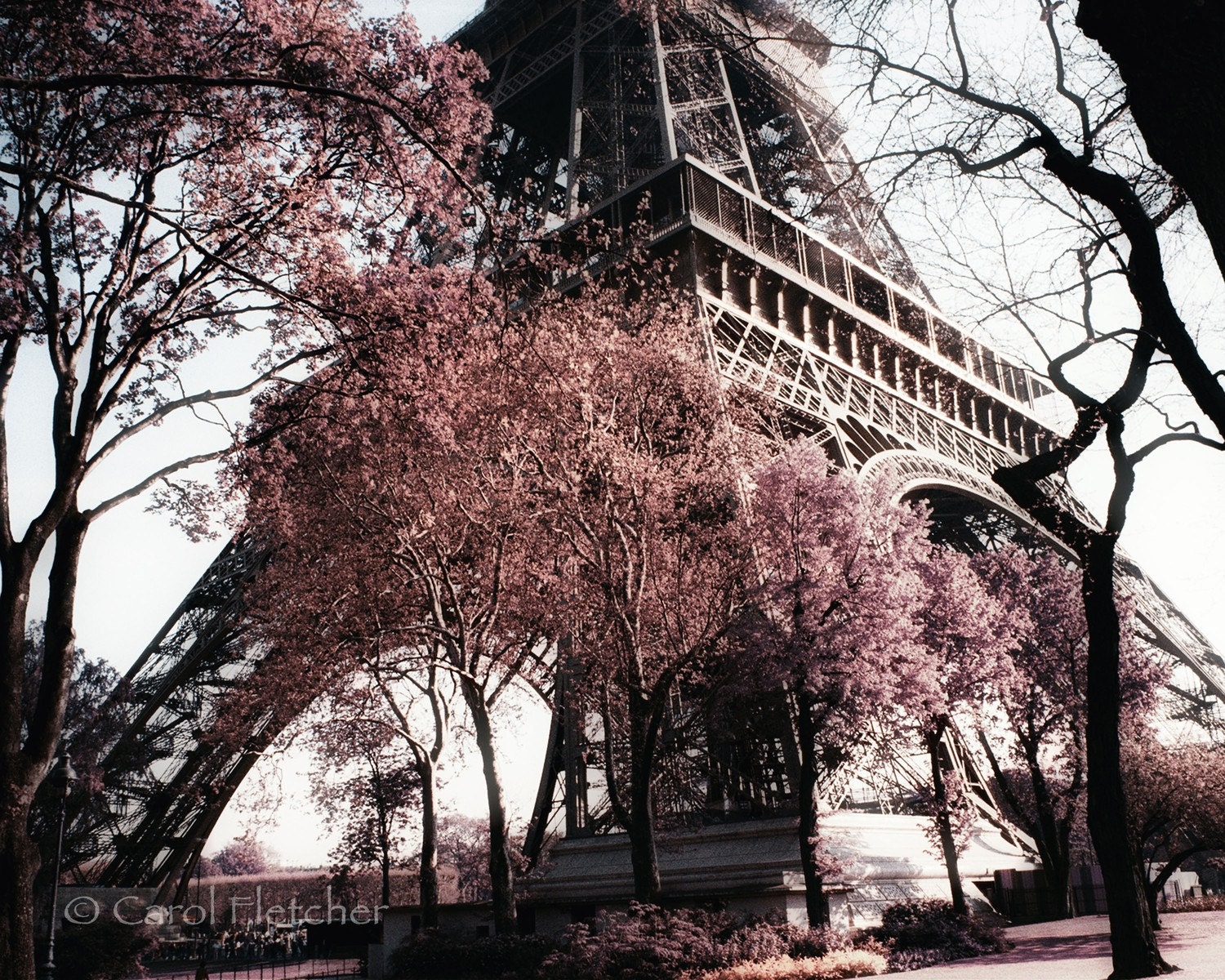 Paris in the Spring - Fine Art Photography Print - 8x10 - Eiffel Tower - France - Flowers - Trees - Romantic - Home Decor