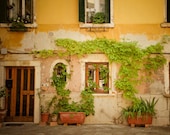 Venice Photograph, Italy Photo, Italian, Pastel, Yellow, House, Building, Vine, Planter, Wall Decor, Fine Art - Yellowness - ven0008