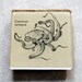 Vintage Ephemera Octopus Magnet
