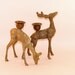 Vintage Set of 2 Solid Brass Deer Candle Holders - Doe and Stag