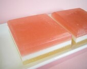 Mothers Day Soap - Champagne Pomegranate Soap - Bubbles, Celebration