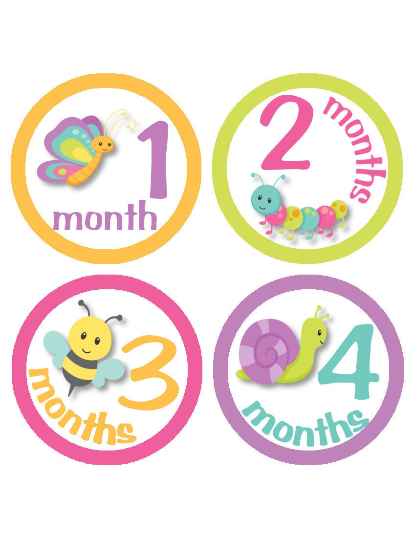 Girls Cute Bugs Part 2...Monthly Onesie Stickers...Bee, Butterfly, Snail and Caterpillar...Waterproof...Low Prices....Ready to Ship