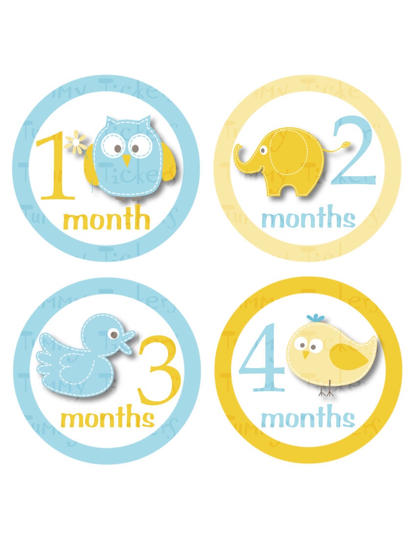 Monthly Onesie Stickers...Set of 12 Boys...Baby Animals Part 2...Ready to Ship...Waterproof....Months 1-12