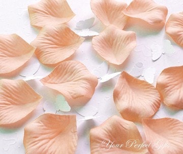1000 Pieces Peach Silk Rose Petals Wedding Flower Facor Decoration RP021 - yourperfectgifts