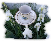 Teacup birdfeeder poke creates a charming addition to your flower garden.