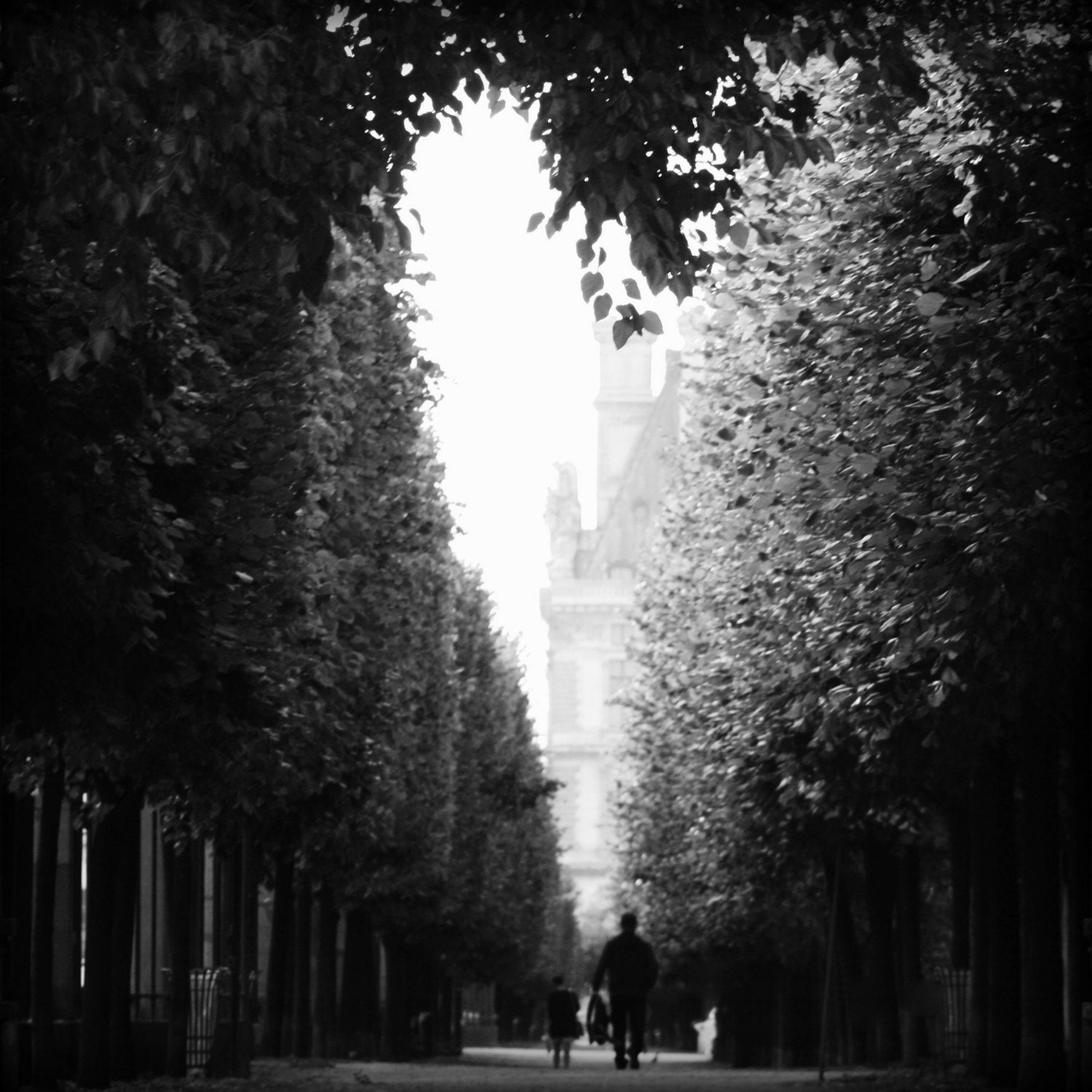 I Heart Paris- 16x20 Signed Fine Art Photograph