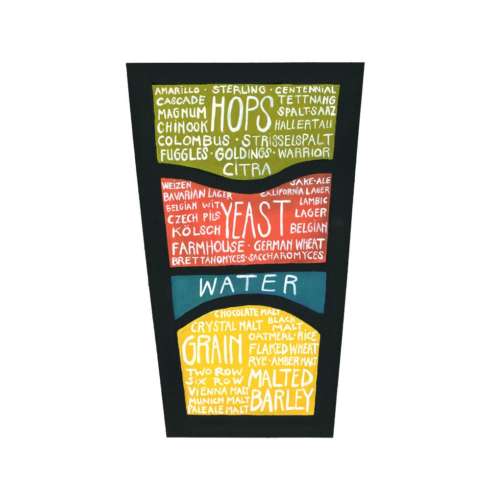 Detailed Beer Diagram - "Know what you drink" Beer Poster