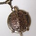 Water Turtle Locket