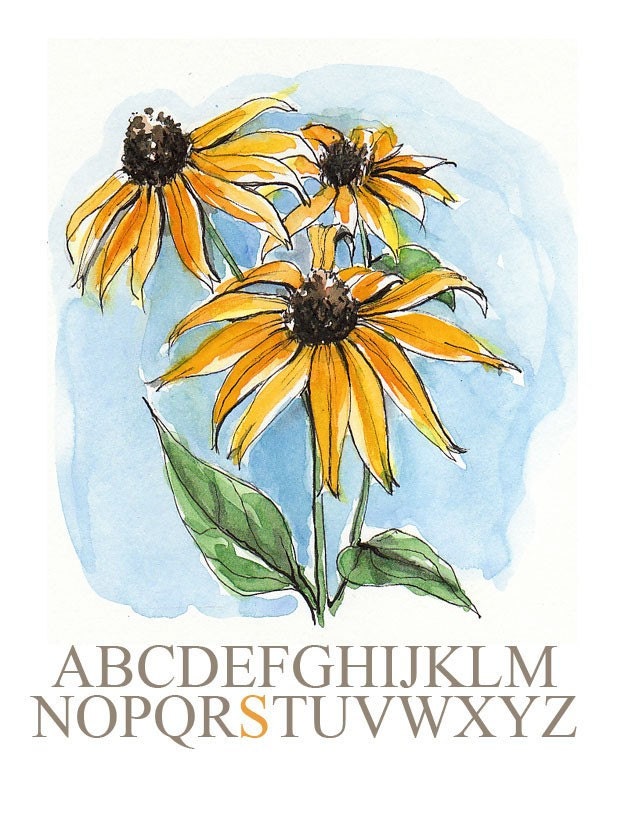 Flowers Black Eyed Susans Note Card