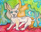 Chrome Dome Kitty Sphynx Cat Art Giclee Print by Kimberly Stage Dragon