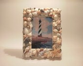 Sea Shell Picture Frame 4 x 6 in Natural Colors by Silk N Lights Designs