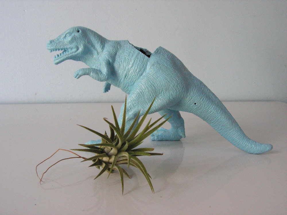 Upcycled Dinosaur Planter - Blue Tyrannosaurus Rex with Tillandsia Air Plant