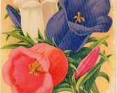 Vintage Flower Seed Packet Tuckers Seed House Lithograph CANTERBURRY BELLS Carthage, Missouri