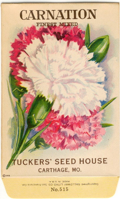 Vintage Flower Seed Packet Tuckers Seed House Lithograph CARNATION Carthage, Missouri