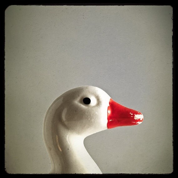 Vintage Ceramic Duck 8x8 Photo Print