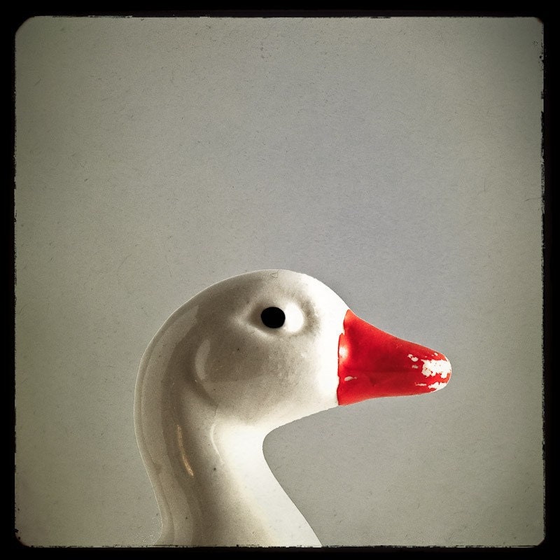 Vintage Ceramic Duck 8x8 Photo Print