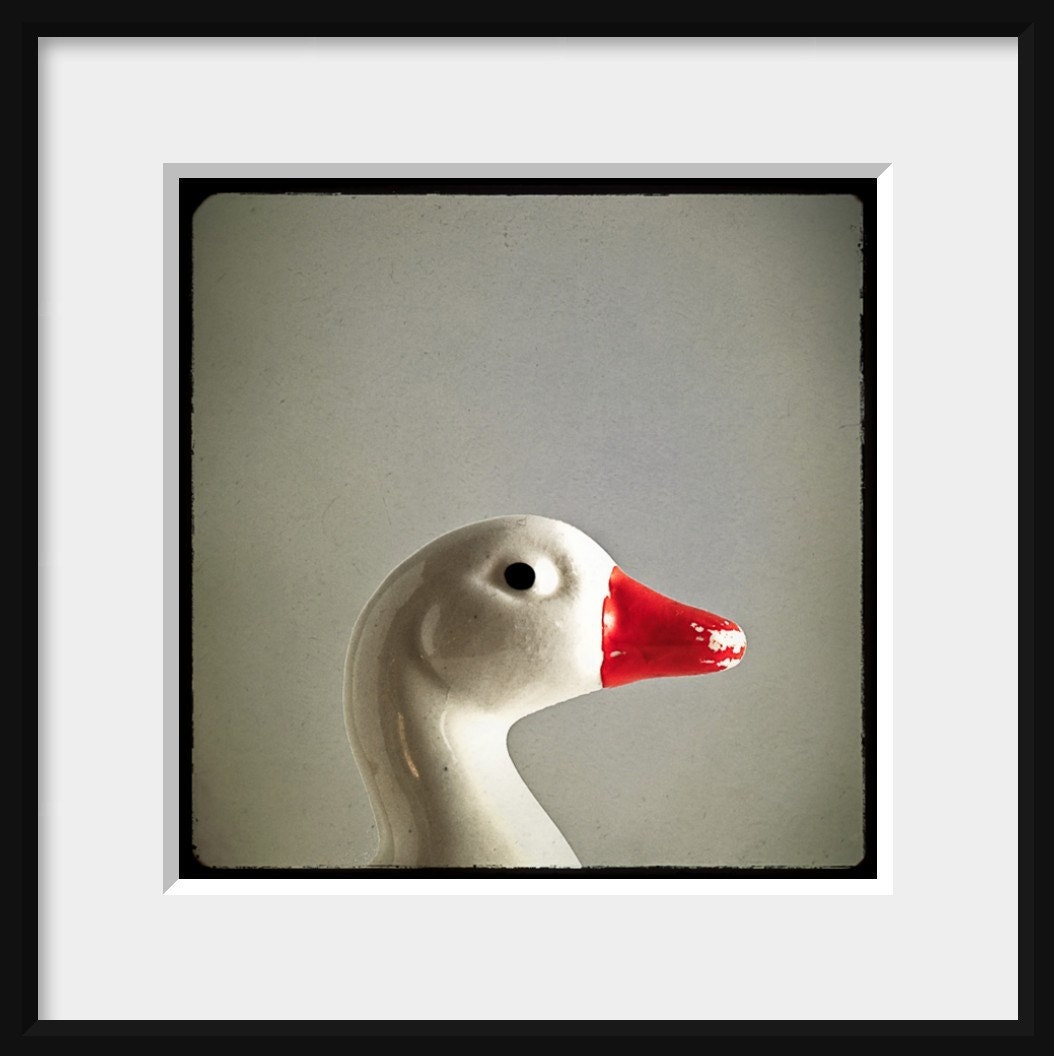Vintage Ceramic Duck 8x8 Photo Print
