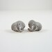 elephant post earrings