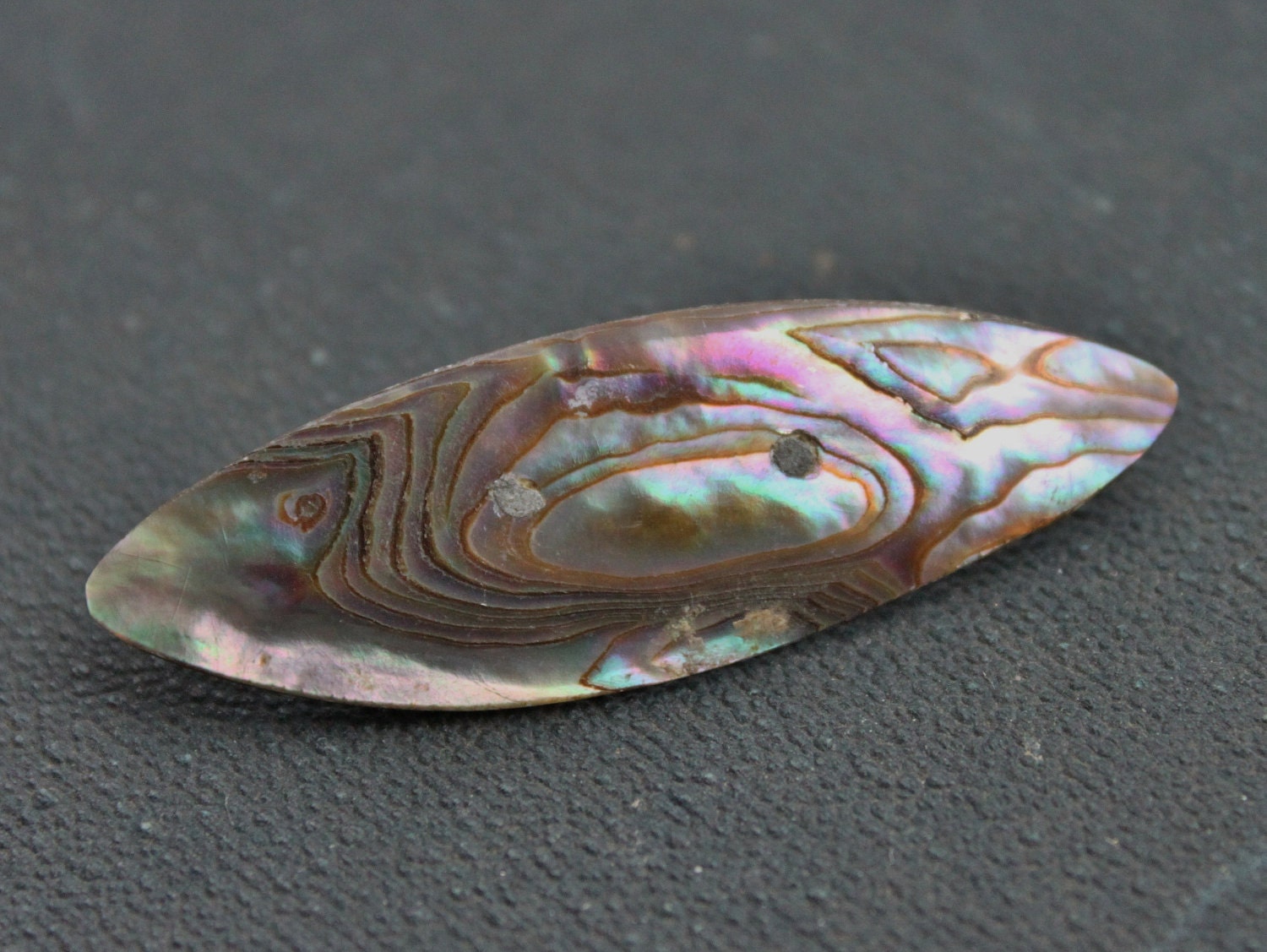 Edwardian Abalone Collar Pin