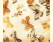Pearl 5x5 Fine Art Print Butterfly Polaroid Inspired--Vintage Thrift Shirt Pearl Buttons Orange Brown Butterflies Autumn Fall