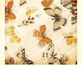 Pearl 11x14 Fine Art Print Butterfly Polaroid Inspired