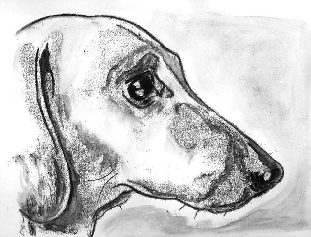 Dachshund dog portrait, Sausage, original dog artwork in ink.
