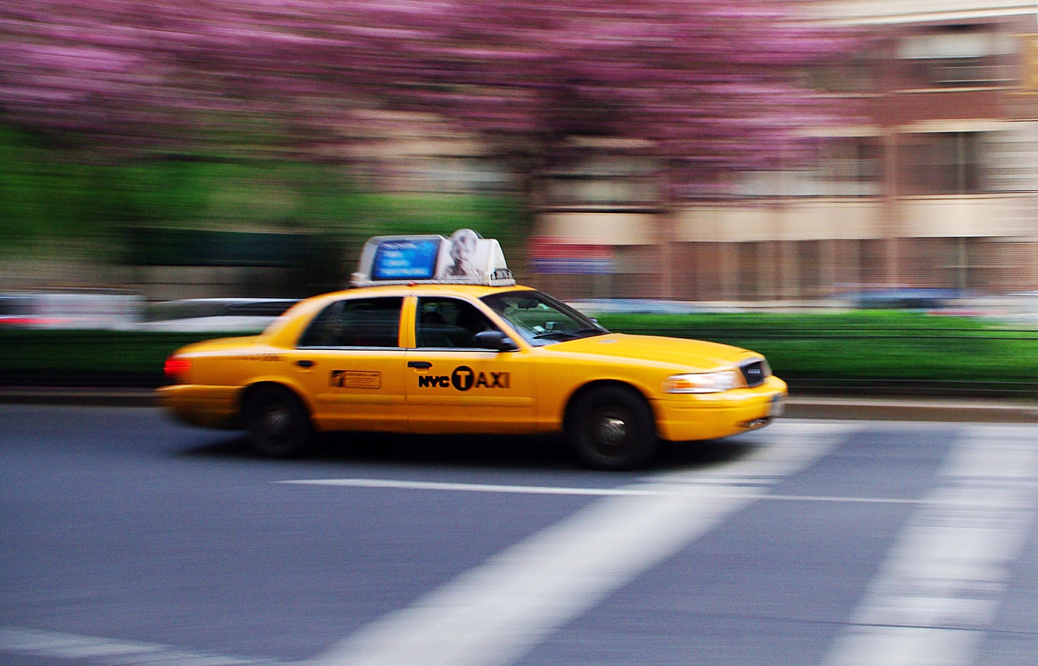 New York City Photograph - Park Avenue Taxi  - 12x18 Print on Kodak Professional Supra Endura Paper