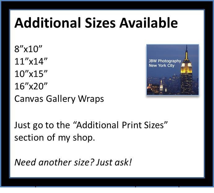 New York City Photography - The Mighty Chrysler Building  - 11x17 Print on Professional Supra Endura Paper
