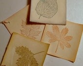 Nature tags, woodland, earth tone color leaves, coffee stained, set 16