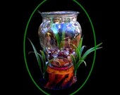 The Woodlands Natural Betta Bowl  on Wooden Base with Storage for Food