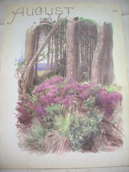 Papergoods. Vintage Book. 1970s Vintage Book Botanical Illustration. Vintage Book.  Vintage Paper. Vintage  Ephemera.
