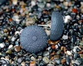 Sea Urchin Jewelry Resin Earrings Sea Urchin Jewelry Resin Jewelry Modern Beach Jewelry