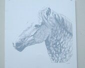 Sadie - Realistic screen print on paper of a beautiful Horse 15x15