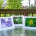 Photograph Blank Greeting Card Sunflower Melody