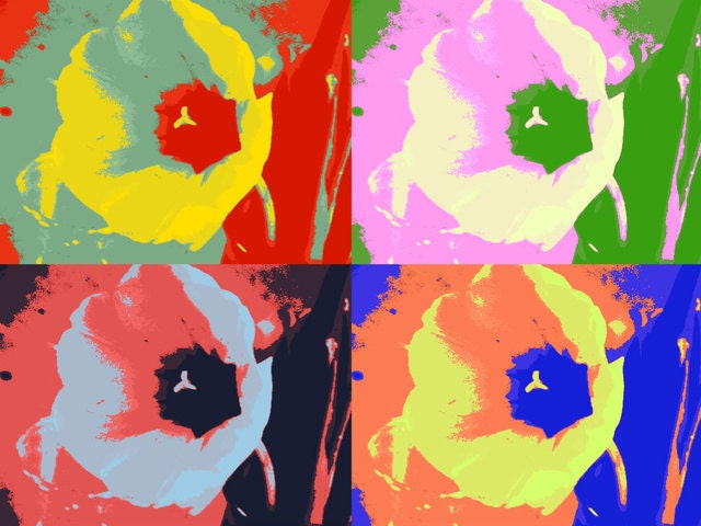 Photograph Card - Crystals Tulip - digital enhanced
