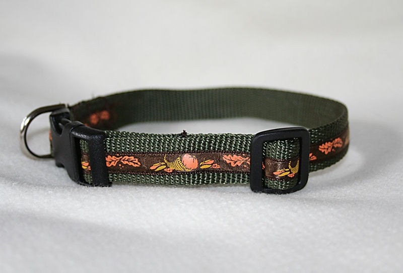Dog Collar green webbing with autumn harvest ribbon small 3/4 inch