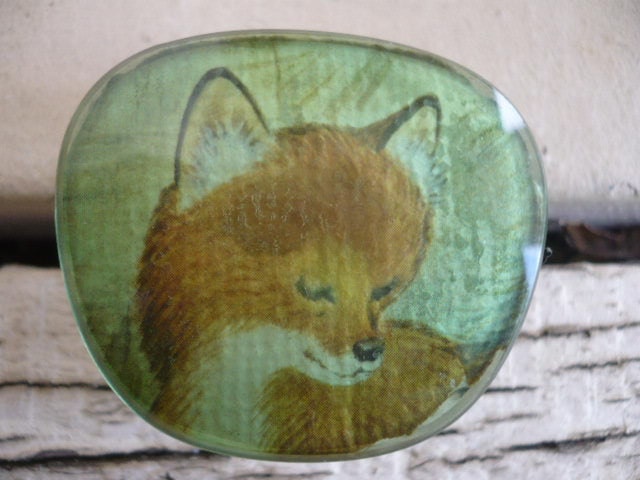 Woodland FOX Statement Ring. Vintage Illustration Behind Optical Lens