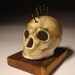 Smoke Gray Mohawk Skull