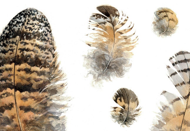 Owl Feathers watercolor painting 13x19 print