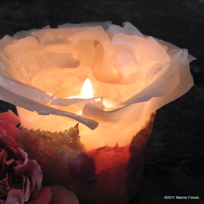 White Rose Candle Set - Mother's Day, Weddings, Gifts, Home Decor - Beeswax, Rose Petals - Eco Luxury Candles by Marcie Forest