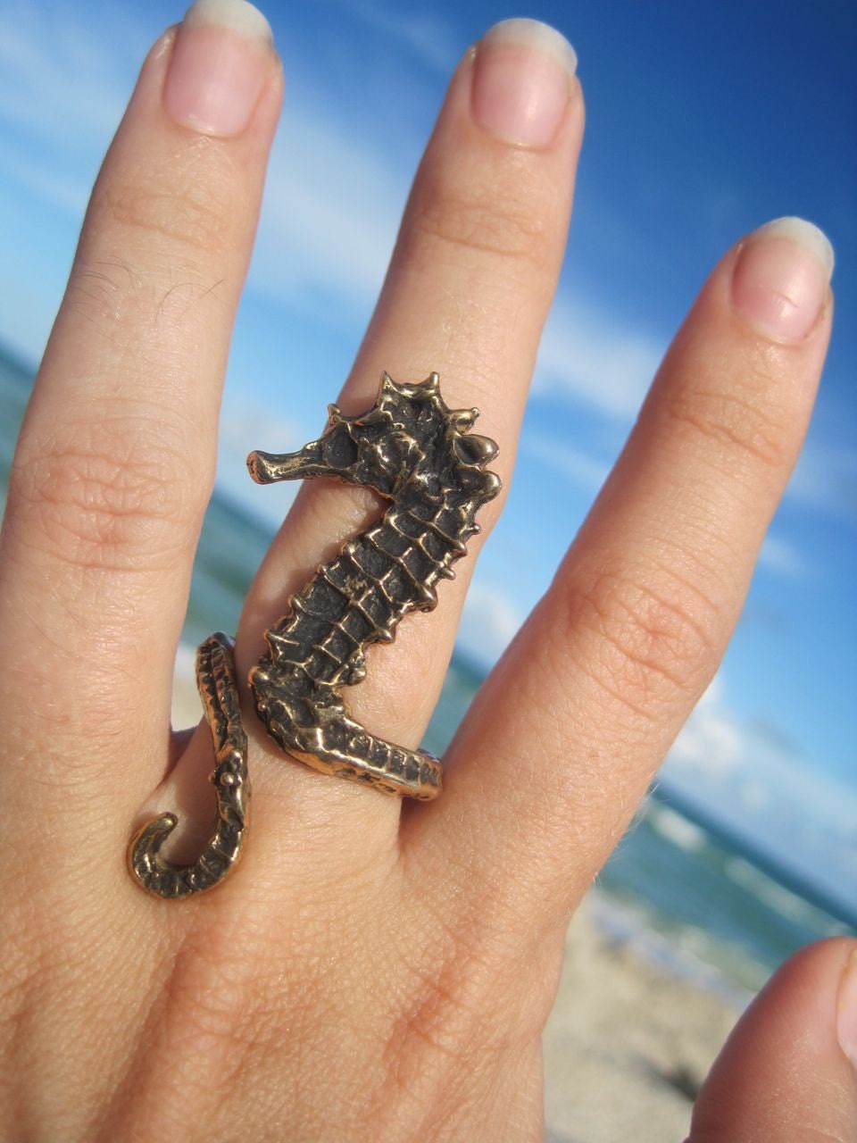 sea horse ring bronze