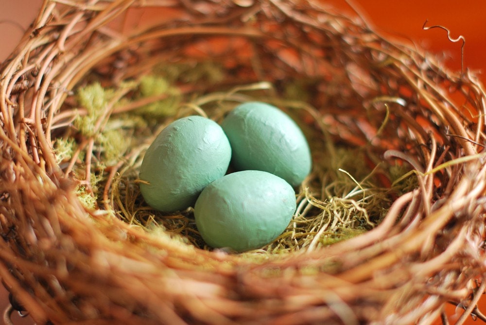 Home Sweet Home -- A Hand-Built Nest with Eggs